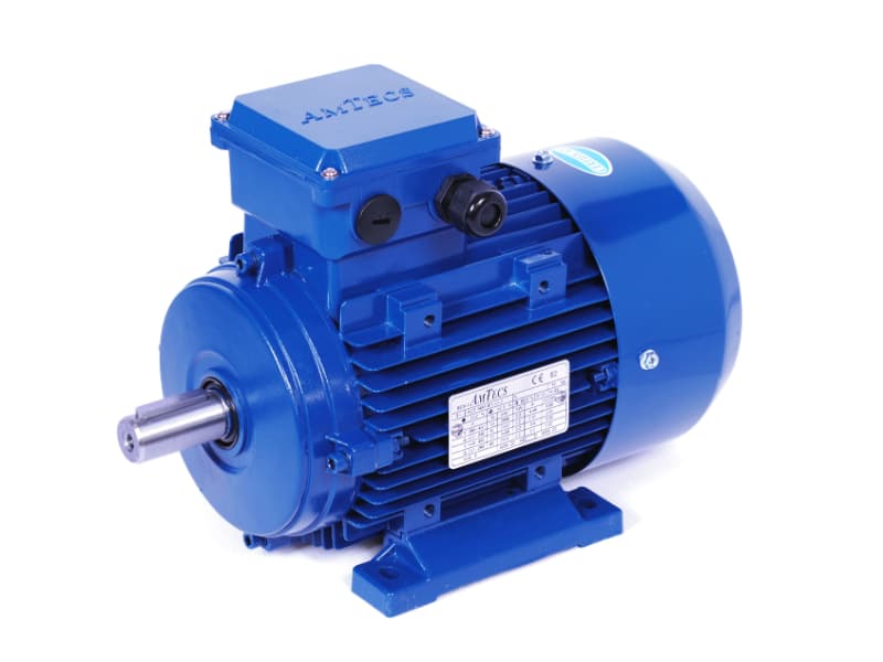 AMA-IE2 63G2 0.25kW 2 Pole 230/400V